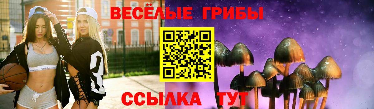 Жуковский  Галлюциногенные грибы ЛСД  Псилоцибиновые грибы Psilocybe  Вход с VPN 
