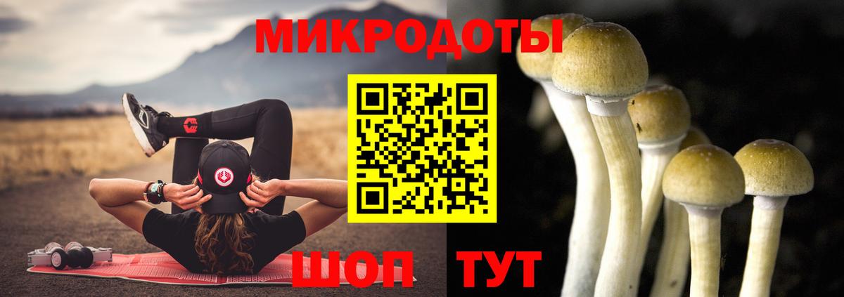 Псилоцибиновые грибы GOLDEN TEACHER Жуковский